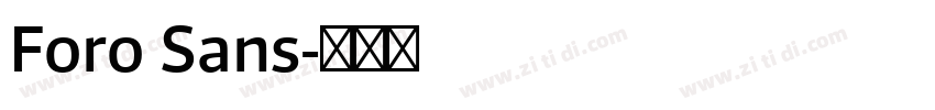 Foro Sans字体转换